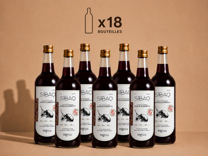 Concentré gastronomique au baobab, hibiscus & gingembre.