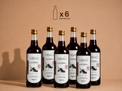 Concentré gastronomique au baobab, hibiscus & gingembre.