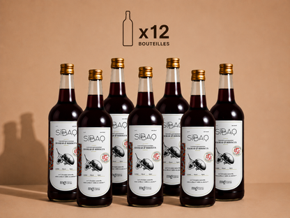 Concentré gastronomique au baobab, hibiscus & gingembre.