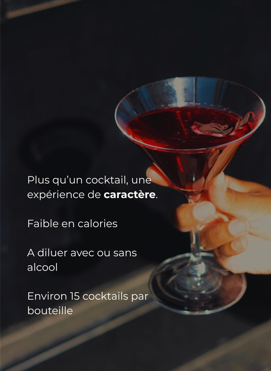 Concentré gastronomique au baobab, hibiscus & gingembre.